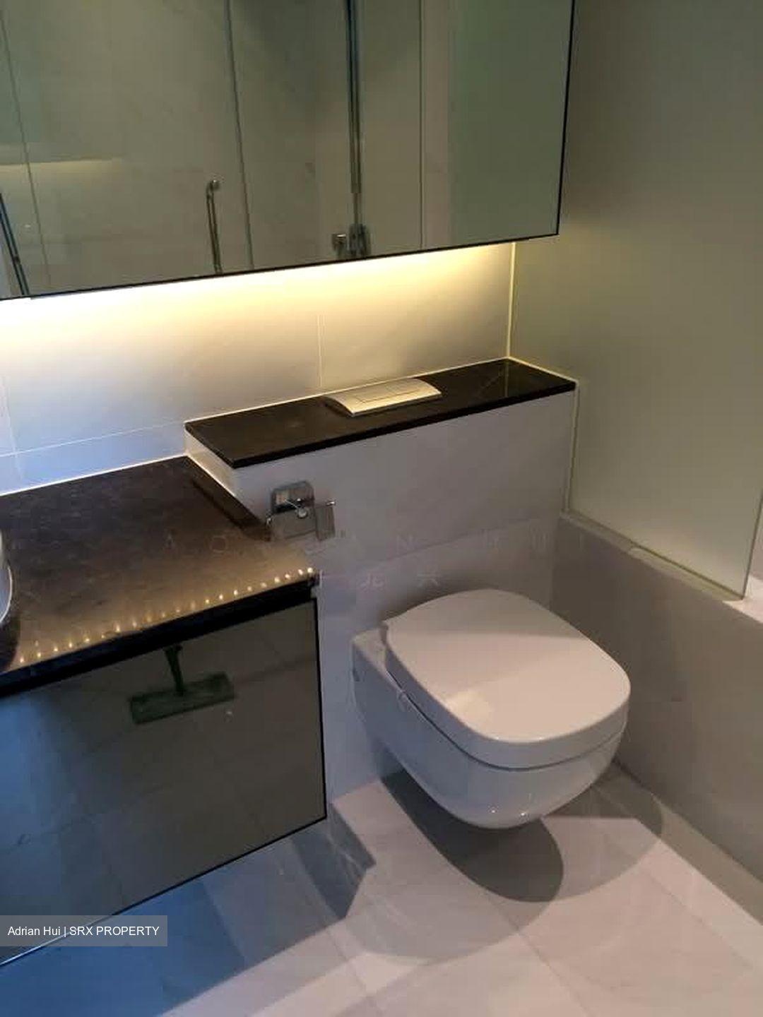 Nathan Suites (D10), Condominium #561019341